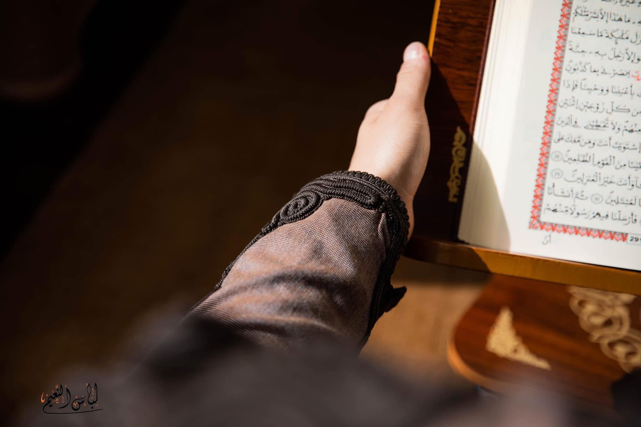 الرئيسية IMG 6528